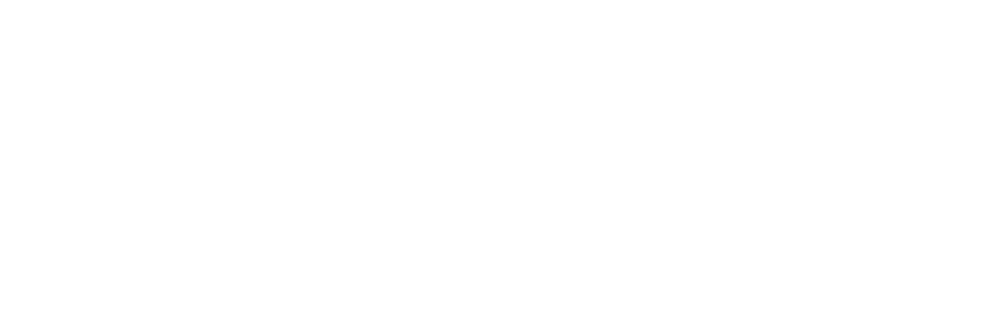 השותף מטולה